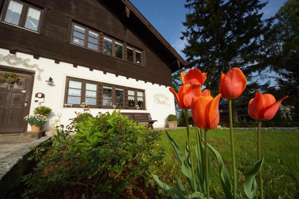 Gaestehaus Funk Bad Feilnbach Zewnętrze zdjęcie